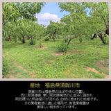 桃 【有我果樹園】 もも 品種色々 ミックス 3kg 8～12玉 贈答用  福島県 須賀川市  プレゼント 予約 《7/下旬～8/上旬から出荷》