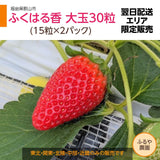 【ふるや農園】福島生まれの苺　ふくはる香　大玉30粒(15粒×2パック)　翌日配送エリア限定　福島県