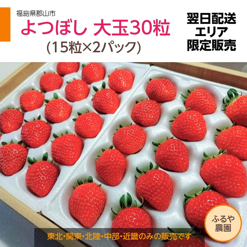 ふるや農園】苺　よつぼし　大玉30粒(15粒×2パック)　翌日配送エリア限定　福島県
