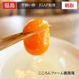 平飼い卵 【こころんファーム養鶏場】 卵 たまご ここたま 30個 朝取 M L LL サイズ混合 2.1kg JGAP 自家配合飼料 地下水 福島県 平飼