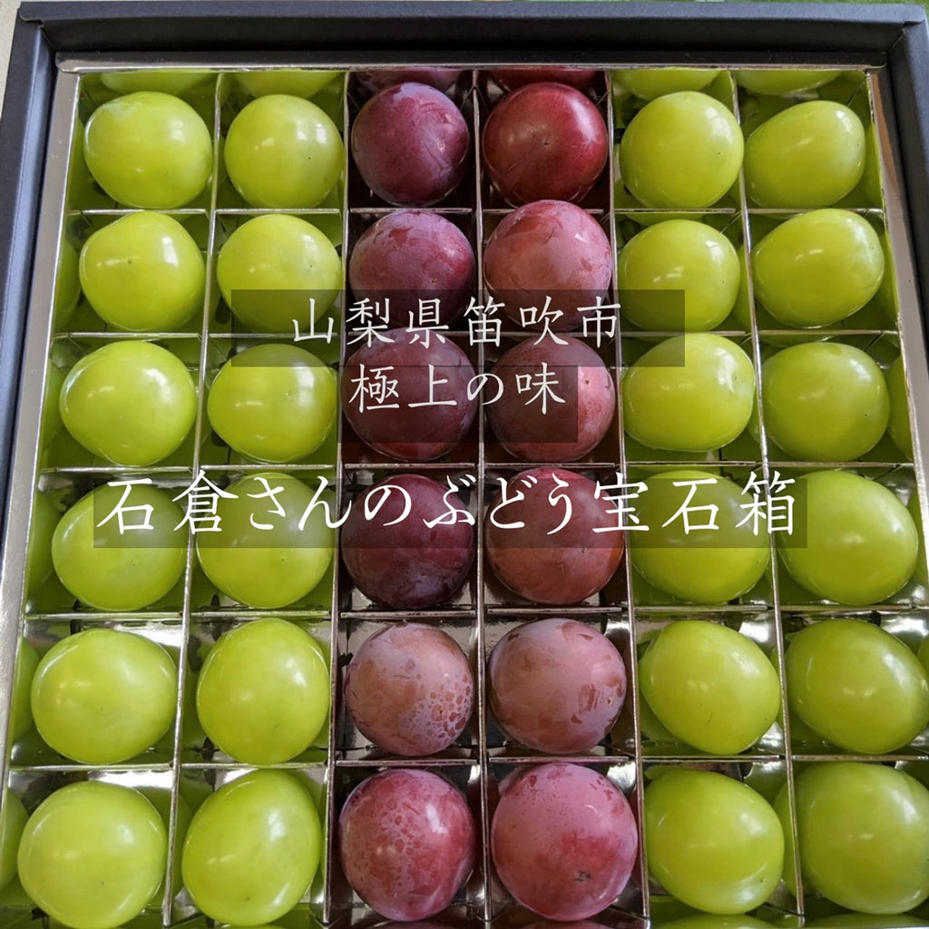 ぶどう 【ﾌﾙｰﾂﾌｧｰﾑいしくら】 葡萄 宝石箱 シャインマスカット クイーンニーナ 36粒 約900g 大粒高糖度 山梨県 贈答 記念日 プレゼント 《8/17日頃～8/下旬からの出荷》