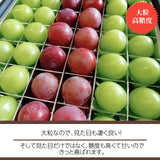ぶどう 【ﾌﾙｰﾂﾌｧｰﾑいしくら】 葡萄 宝石箱 シャインマスカット クイーンニーナ 36粒 約900g 大粒高糖度 山梨県 贈答 記念日 プレゼント 《8/17日頃～8/下旬からの出荷》