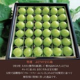 ぶどう 【ﾌﾙｰﾂﾌｧｰﾑいしくら】 葡萄 宝石箱 シャインマスカット 36粒 約900g 大粒 高糖度 山梨県 贈答 記念日 プレゼント《8/10日頃～8/中旬からの出荷》