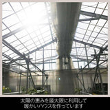 中玉トマト　約1.8ｋｇ(450ｇ×４袋）　福島県白河市