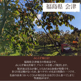 柿 【遠藤みしらず柿園】 みしらず柿 （ 身不知柿 ） 2.5kg 3L 9個 福島県会津 《11/末～12/上旬より出荷》