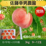 桃 【佐藤幸男農園】 もも 川中島 3kg 9～12個 贈答用 プレゼント福島県 《8/中旬～8/下旬の出荷》