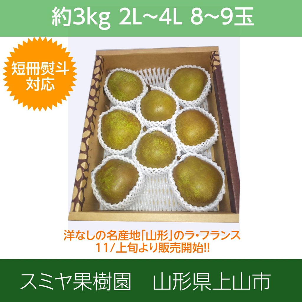 洋梨 【スミヤ果樹園】 洋なし ラ・フランス 約3kg 特秀 ２L～４L 8～10玉 贈答用 山形県上山市 ラフランス　《11/上旬～11/中旬より出荷》