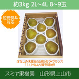 洋梨 【スミヤ果樹園】 洋なし ラ・フランス 約3kg 特秀 ２L～４L 8～10玉 贈答用 山形県上山市 ラフランス　《11/上旬～11/中旬より出荷》