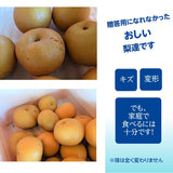 【 箭内厳雄果樹園 】梨 訳あり 家庭用 3kg　7～10玉　福島県 須賀川市