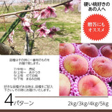桃 【箭内厳雄果樹園】 もも ４kg　8～18玉 品種おまかせ 福島県 贈答用 《7月下旬～8月上旬から出荷》