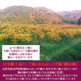 柿 【遠藤みしらず柿園】 みしらず柿 （ 身不知柿 ） 5kg 3L 17～19個 福島県会津 《11/末～12/上旬より出荷》