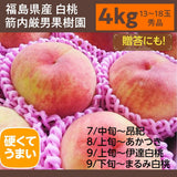 桃 【箭内厳雄果樹園】 もも ４kg　8～18玉 品種おまかせ 福島県 贈答用 《7月下旬～8月上旬から出荷》