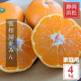 みかん 【みかん屋かみん】4kg サイズ不揃い 家庭用 静岡県浜松市 《11/上旬～中旬より出荷》