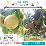 梨 【グリーンファーム】 萱場梨 ５kg ２Lサイズ以上　8～11玉 贈答用 福島県 福島市 和梨 《8/下旬～9/上旬より出荷》