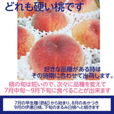 桃 【箭内厳雄果樹園】 もも ３kg　6～13玉 品種おまかせ 福島県 贈答用 《7/下旬～8/上旬から出荷》