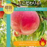 桃 【有我果樹園】 もも 品種色々 ミックス 5kg 12～16玉 贈答用  福島県 須賀川市  プレゼント 予約 《7/下旬～8/上旬から出荷》