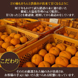 柿 【遠藤みしらず柿園】 みしらず柿 （ 身不知柿 ） 5kg 2L 19~21個 福島県会津 《11/末～12/上旬より出荷》