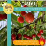さくらんぼ 【有我果樹園】 佐藤錦 紅秀峰 紅てまり どれか1品種 1kg L 福島県須賀川市 贈答用 《6/中旬～6/下旬の出荷》