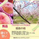 桃 【箭内厳雄果樹園】 もも ４kg　8～18玉 品種おまかせ 福島県 贈答用 《7月下旬～8月上旬から出荷》