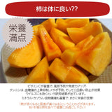 柿 甘柿 【フルーツファームいしくら】 富有柿等 皇室献上の味 広瀬の柿 1.5kg  L 7個 山梨県笛吹市 種なし かき《10/下旬～11/上旬の出荷》