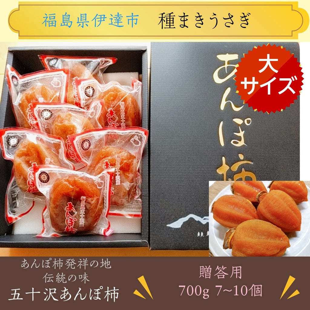 干し柿 【種まきうさぎ】 五十沢 あんぽ柿 700g 大サイズ7～10個 化粧箱 贈答 福島県 伊達 《12/15頃～12/下旬より出荷》