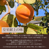 柿 【遠藤みしらず柿園】 みしらず柿 （ 身不知柿 ） 5kg 2L 19~21個 福島県会津 《11/末～12/上旬より出荷》