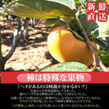 柿 甘柿 【フルーツファームいしくら】希少 太雅 たいが 約2kg 2L以上 5個 山梨県笛吹市 種なし かき《11/上旬～11/中旬の出荷》