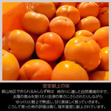 柿 【遠藤みしらず柿園】 みしらず柿 （ 身不知柿 ） 5kg 4L 15~17個 福島県会津 《11/中～11/下旬より出荷》