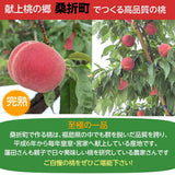 桃 【蓬田さん】 献上桃の郷 もも 3kg 10～12玉 贈答用 福島県桑折町 《7/下旬～8/上旬より出荷》