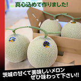 メロン 【メロンの村田】 アンデスメロン 3玉 3L～4L 糖度16前後 贈答用 母の日 茨城県鉾田市 《5/上旬～5/中旬より出荷》