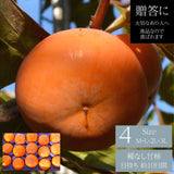 柿 甘柿 【フルーツファームいしくら】 富有柿 皇室献上の味 広瀬の柿 7.5kg ２L 28個 贈答用 山梨県笛吹市 種なし かき《10/下旬～11/上旬の出荷》