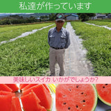 スイカ 小玉スイカ 【高橋農園】ひとりじめBONBON ２玉 4〜5kg 優 尾花沢 訳あり 家庭用 山形県  ひとりじめボンボン《7/中旬〜7/下旬より出荷》