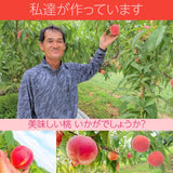 桃 【有我果樹園】 もも 品種色々 ミックス 5kg 12～16玉 贈答用  福島県 須賀川市  プレゼント 予約 《7/下旬～8/上旬から出荷》