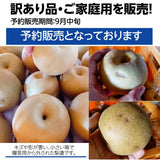 梨 【長田果樹園】 和梨 ５kg ご家庭用 訳あり S以上 18～22個 福島県 《9月中旬の出荷》