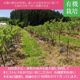 ブルーベリー 【三春インターブルーベリー園】 生ブルーベリー 400g 大粒 ソース 200g×3 朝採 国産 福島県三春町 お中元 御中元 贈答用 《6/下旬～7/上旬より出荷》