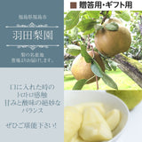 洋梨 【羽田梨園】ラ・フランス　3kg　7～11個　秀　贈答用　福島県 洋ナシ プレゼント 《11/上旬～11/中旬出荷》 ラフランス