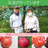 りんご　5ｋｇ フジ　Ｌサイズ12～16玉　家庭用・訳あり　福島県