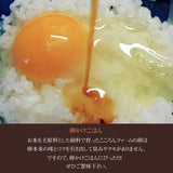 平飼い卵 【こころんファーム養鶏場】 卵 たまご ここたま 30個 朝取 M L LL サイズ混合 2.1kg JGAP 自家配合飼料 地下水 福島県 平飼