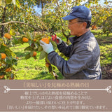 柿 【遠藤みしらず柿園】 みしらず柿 （ 身不知柿 ） 2.5kg 2L 10個 福島県会津 《11/末～12/上旬より出荷》