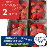 【小野崎農園】やよいひめ/とちあいか　2種食べ比べセット（280g×4パック)  栃木県