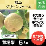 梨 【グリーンファーム】 萱場梨 訳あり 家庭用 5kg ９～20玉 福島県 福島市 和梨 《8/下旬～9/上旬より出荷》