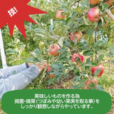 りんご 【有我果樹園】 リンゴ 中玉 18～20個 5kg 福島県 須賀川市《10/上旬～10/中旬より出荷》