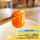 平飼い卵 【こころんファーム養鶏場】 卵 たまご ここたま 50個 朝取 M L LL サイズ混合 3.5kg JGAP 自家配合飼料 地下水 福島県 平飼