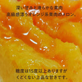 メロン 【OTM出荷組合】 レノン 2L 2玉 糖度15度以上 贈答用 茨城県鉾田市 《5/中旬～5/下旬より出荷》