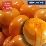 柿 【遠藤みしらず柿園】 みしらず柿 （ 身不知柿 ） 2.5kg 3L 9個 福島県会津 《11/末～12/上旬より出荷》