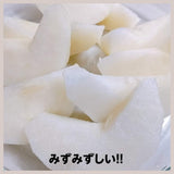 梨 【 乙連沢梨園 】 5kg 10～14個 贈答用 プレゼント 栃木県 《9/上旬〜9/中旬より出荷》