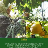 梨 【長田果樹園】 和梨 ５kg ご家庭用 訳あり S以上 18～22個 福島県 《9月中旬の出荷》