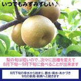 梨 【グリーンファーム】 萱場梨 10kg　Lサイズ以上　24～28玉 贈答用 福島県 福島市 和梨 《8/下旬～9/上旬より出荷》