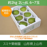 洋梨 【スミヤ果樹園】 洋なし ラ・フランス 約2kg 特秀 ２L～４L 5～7玉 贈答用 山形県上山市 ラフランス 《11/上旬～11/中旬より出荷》