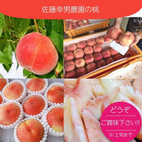 桃 【佐藤幸男農園】 もも 川中島 3kg 9～12個 贈答用 プレゼント福島県 《8/中旬～8/下旬の出荷》